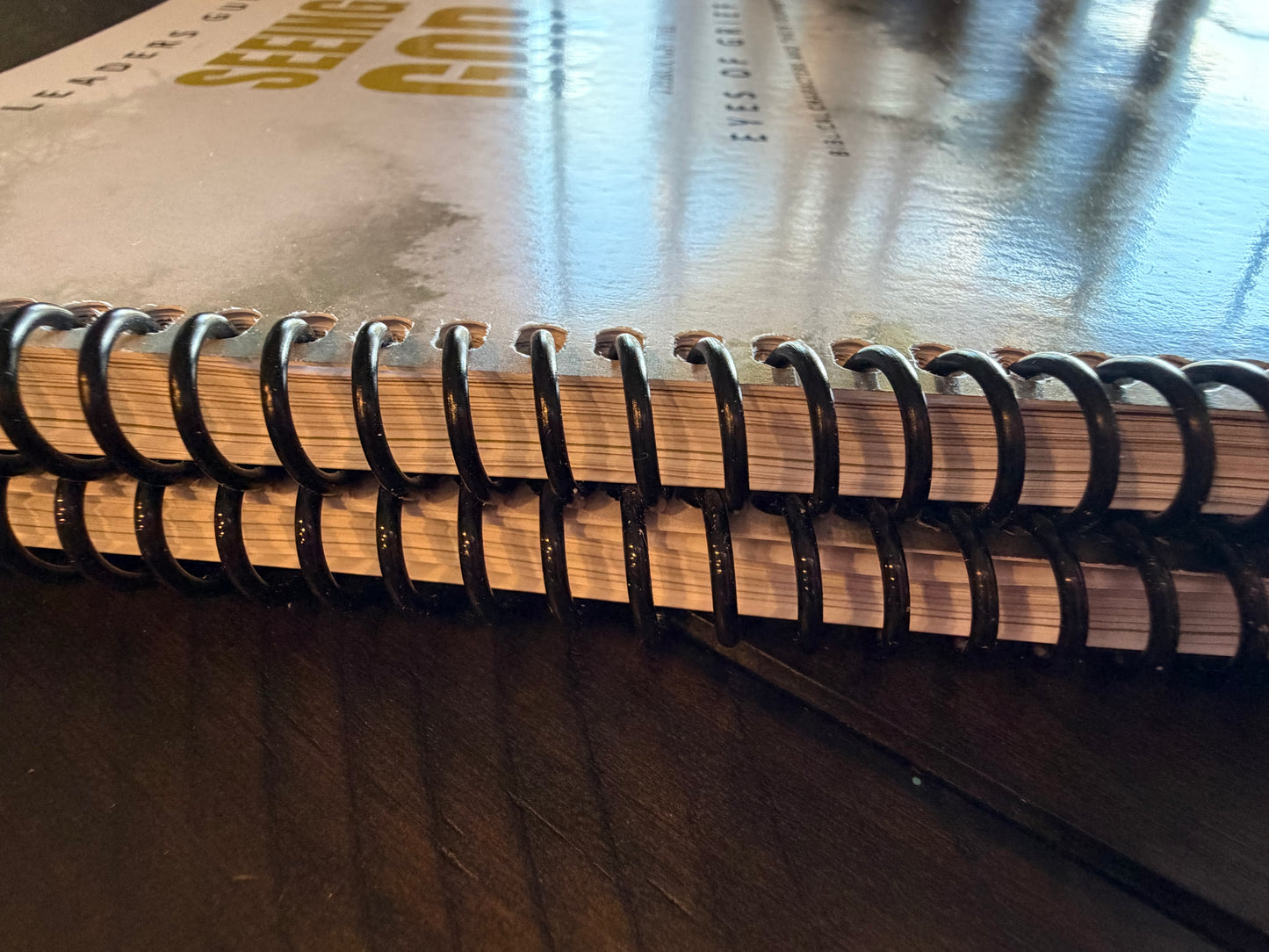 Grief Study Participants Guide- Printed Copy