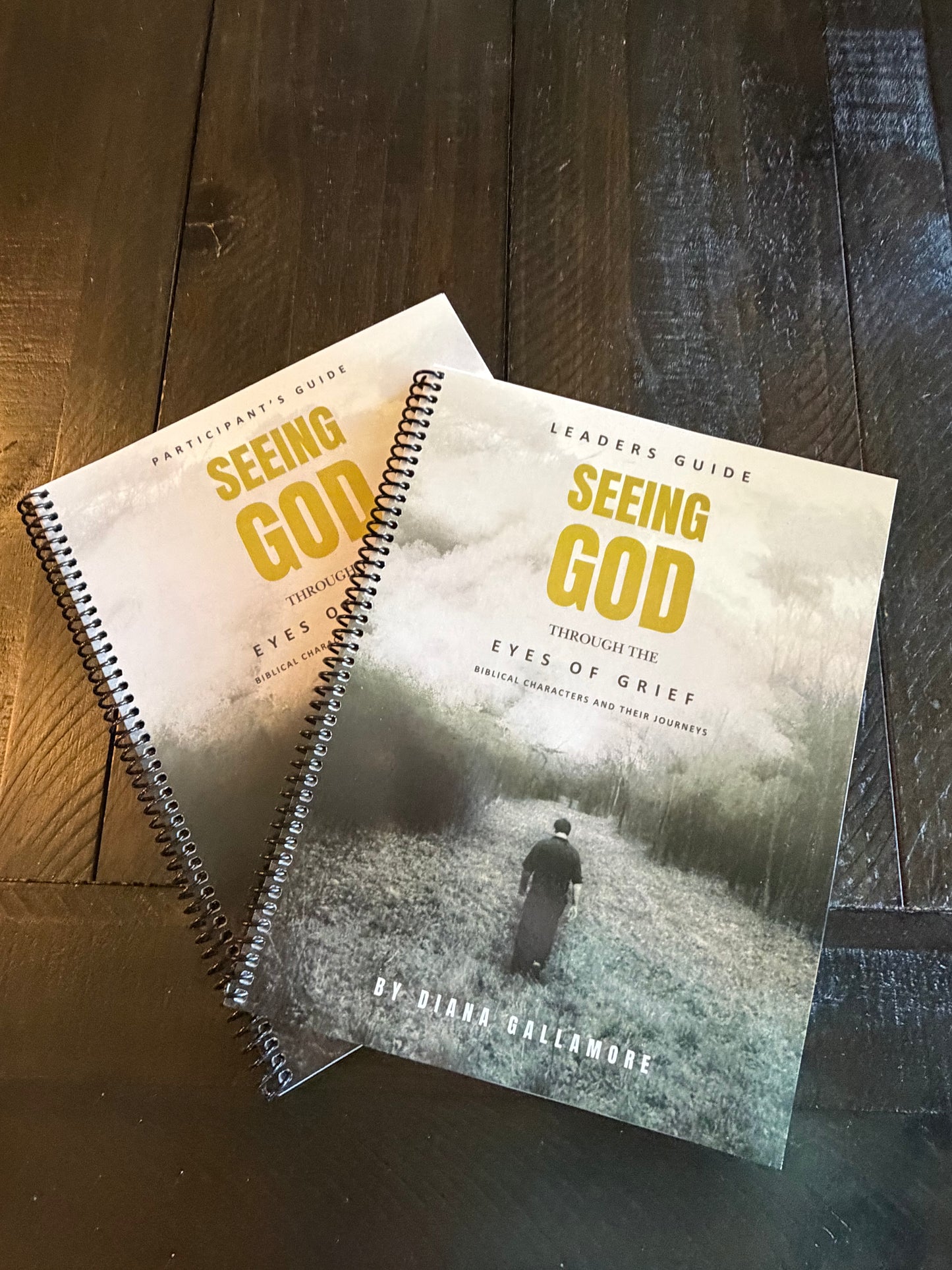 Grief Study Leaders & Participants Printed Bundle