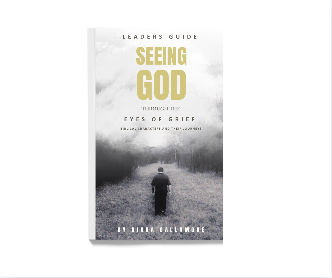 Grief Study Leader's Guide- Digital Copy